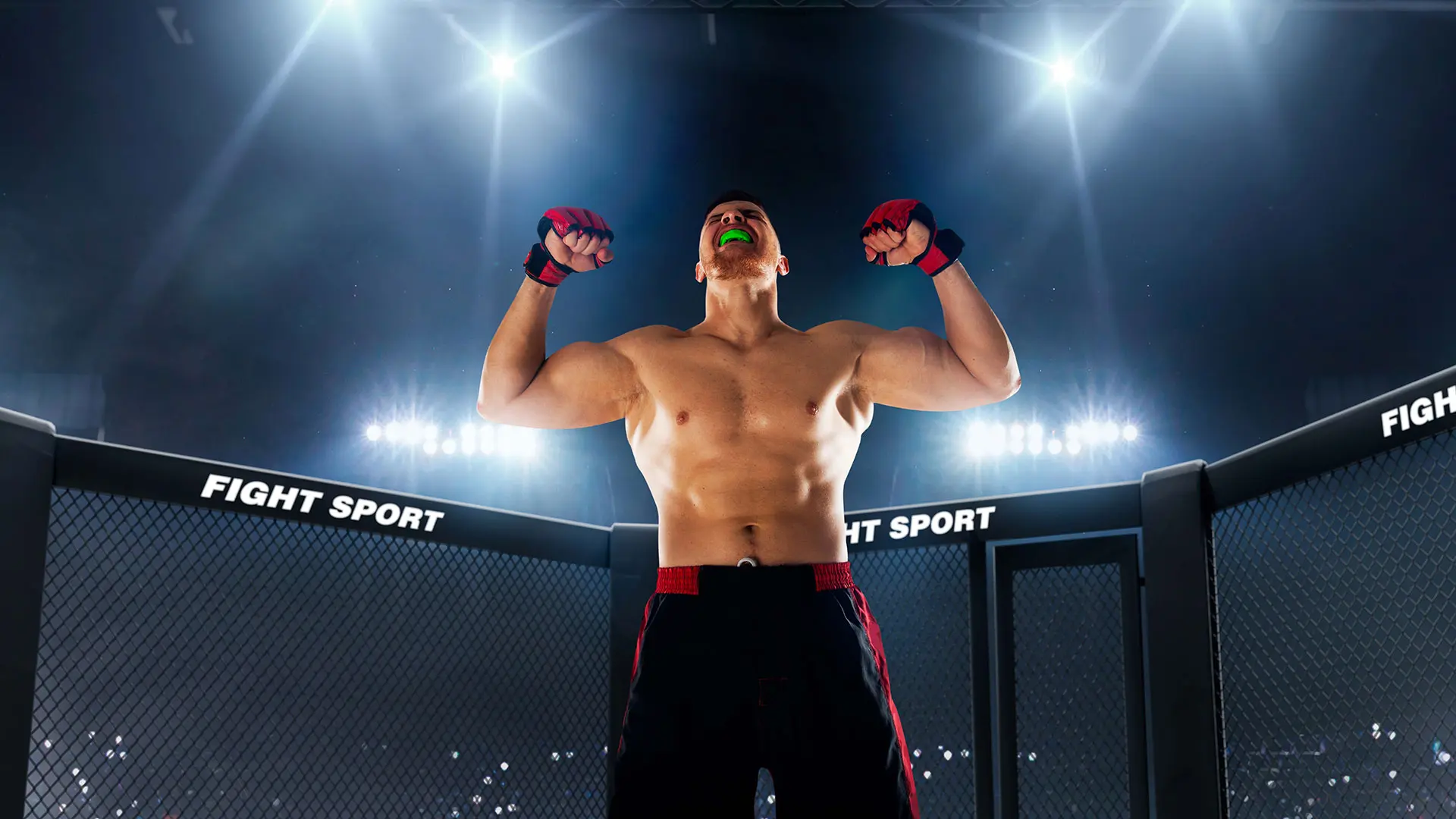UFC Fight Night