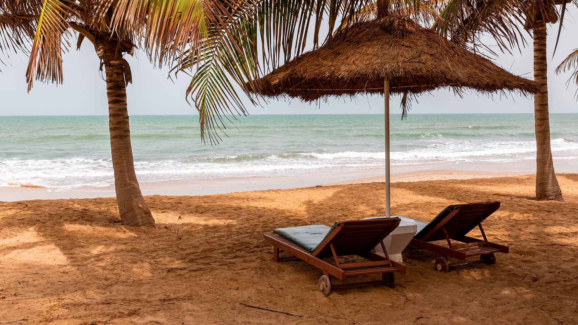 Turquía con Egipto 2026