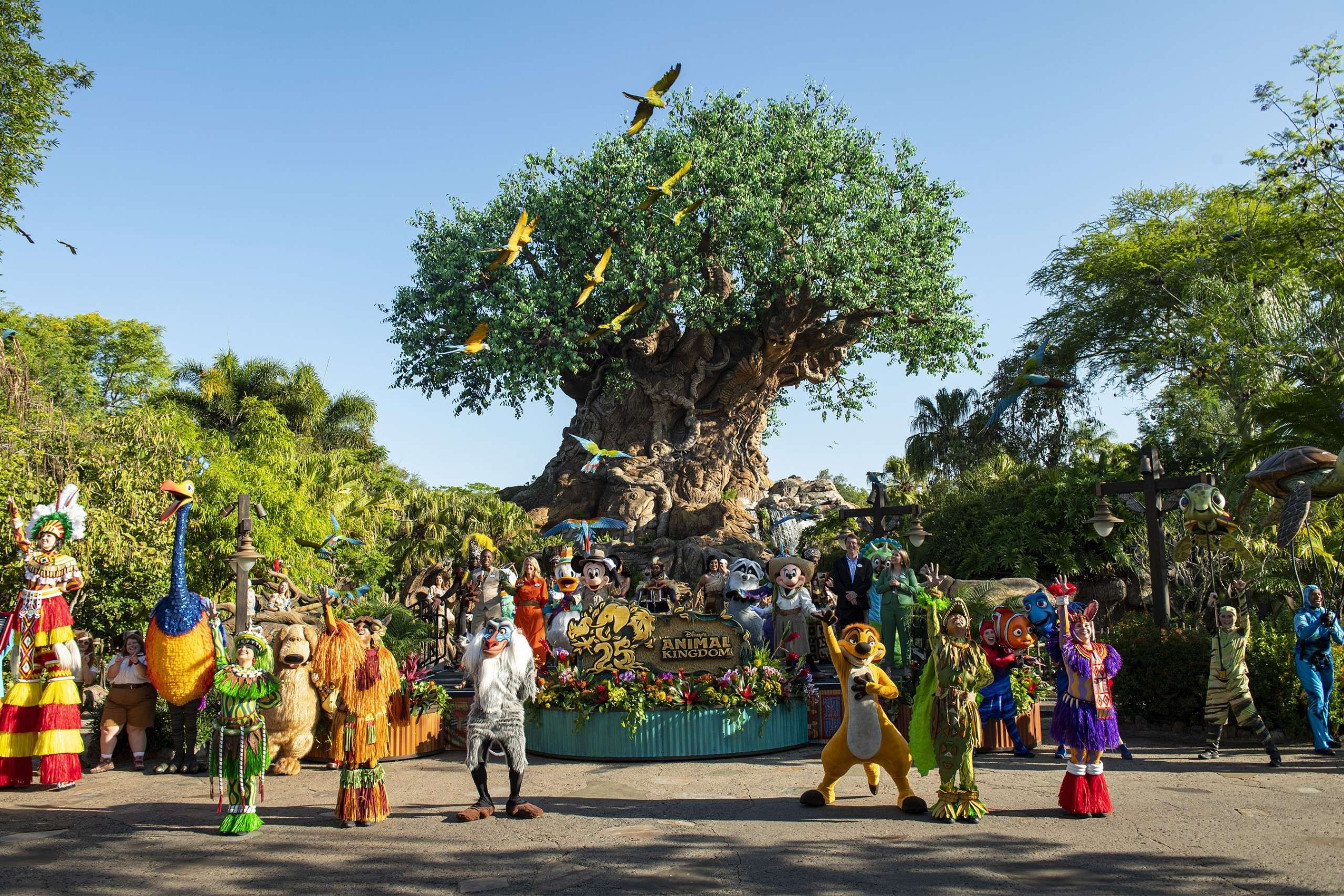 Orlando – 4 Parques de Disney 2026